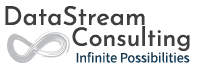 DataStream Consulting Logo