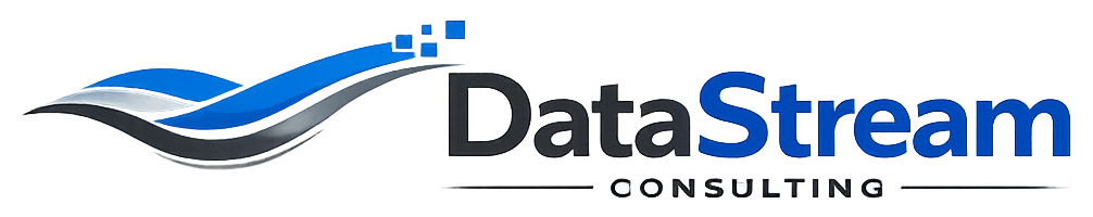 DataStream Logo